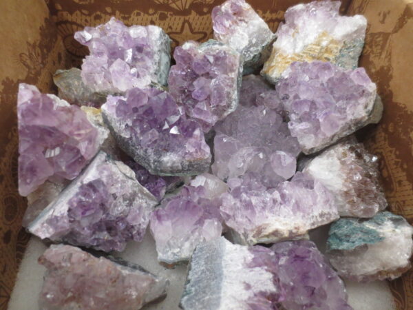 Amethyst Cluster Set (6 Stck) - Grohandel