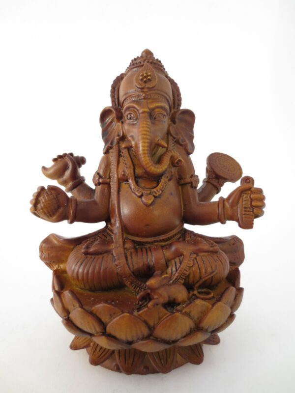 Braun Ganesha klein