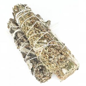 Grohandel - Beifu (Schwarzer Salbei) Smudge 12 cm (3 x 10 - 15 Gramm)