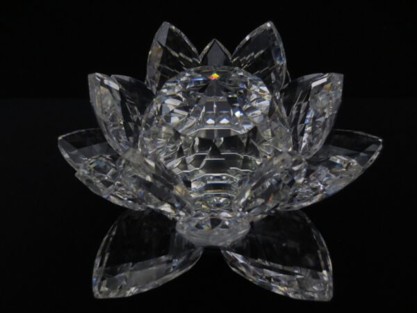 Grohandel Mixed Crystal Lotus auf Standard XL