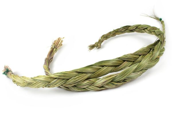 Grohandel - Sweetgrass AA Qualitt (2 x 60-70 cm)