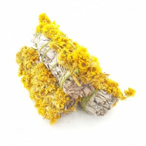 Grohandel - Weier Salbei & Verbascum Yellow Smudge 12cm (3 x 20-30 Gramm)