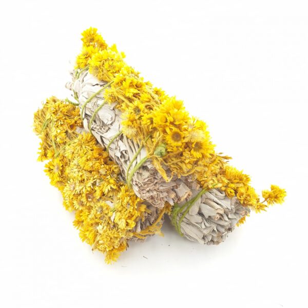 Grohandel - Weier Salbei & Verbascum Yellow Smudge 12cm (3 x 30-40 Gramm)