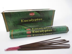 HEM Rucherstbchen Grohandel - Eucalyptus