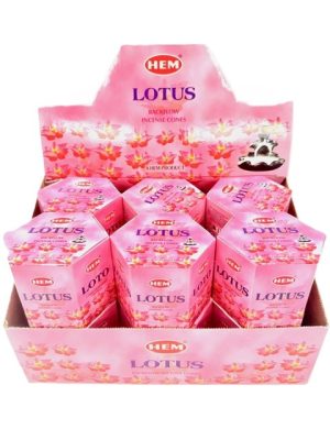 HEM Rückflusskegel – Lotus