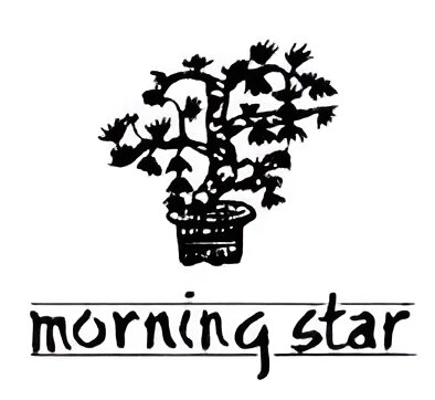 Räucherstäbchen Morning Star