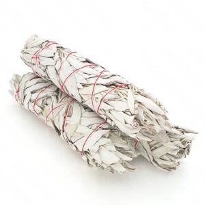 Grohandel - Weier Salbei-Fleck 23 cm (3 x 50-60 Gramm)