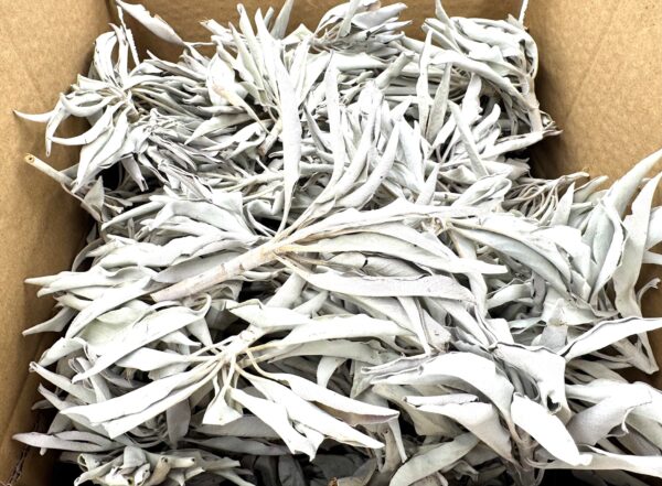 Weißer Salbei-Cluster AA-Qualität - (1000 g)