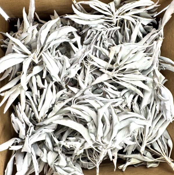 Weißer Salbei-Cluster AA-Qualität - (1000 g)
