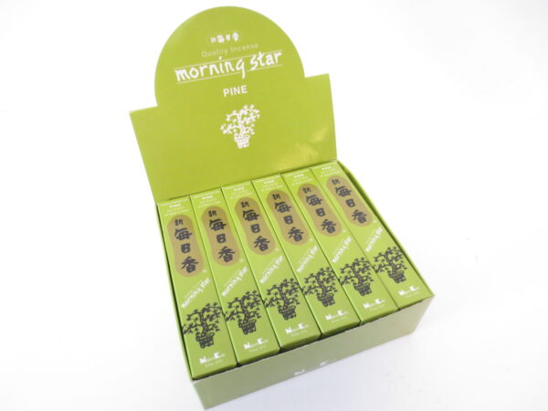 Morning Star - Pine (6st)