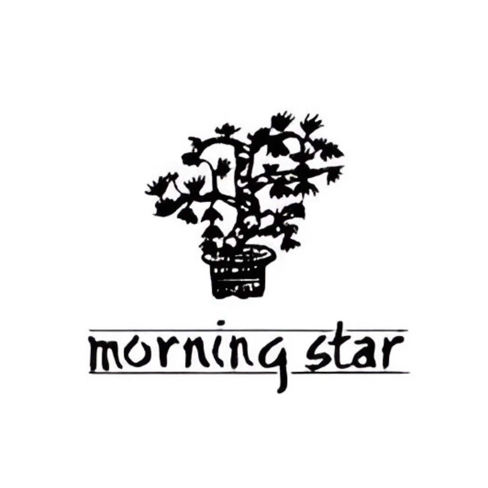Morning Star Räucherstäbchen