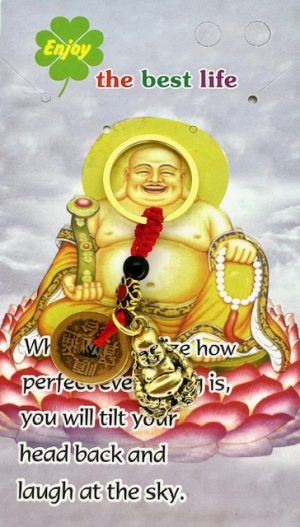 Glücksmünzen-Buddha-Schlüsselanhänger (Gold)